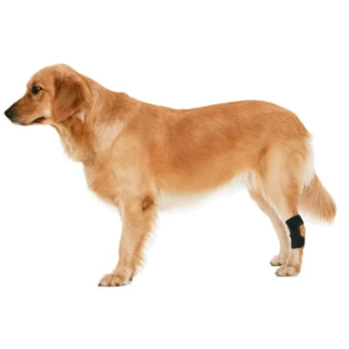 Attelle de chien pour joint de jarret arrière